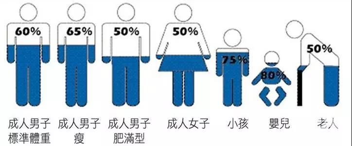 人体内的水分比例